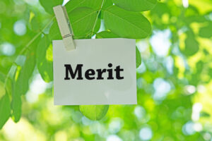 植物につけられたMERITと書かれたメモ